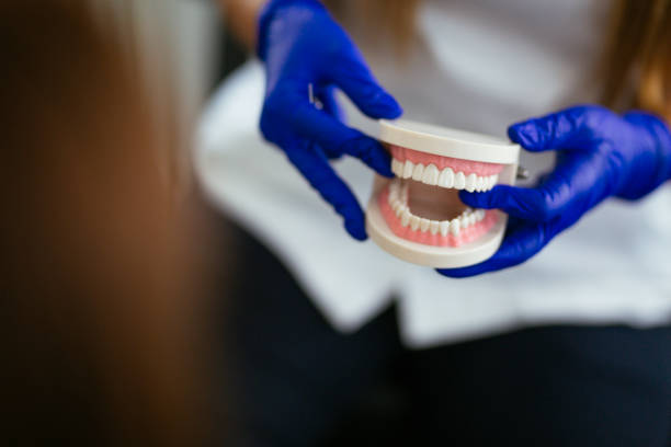 Professional Dental Services in Rolling Meadows, IL